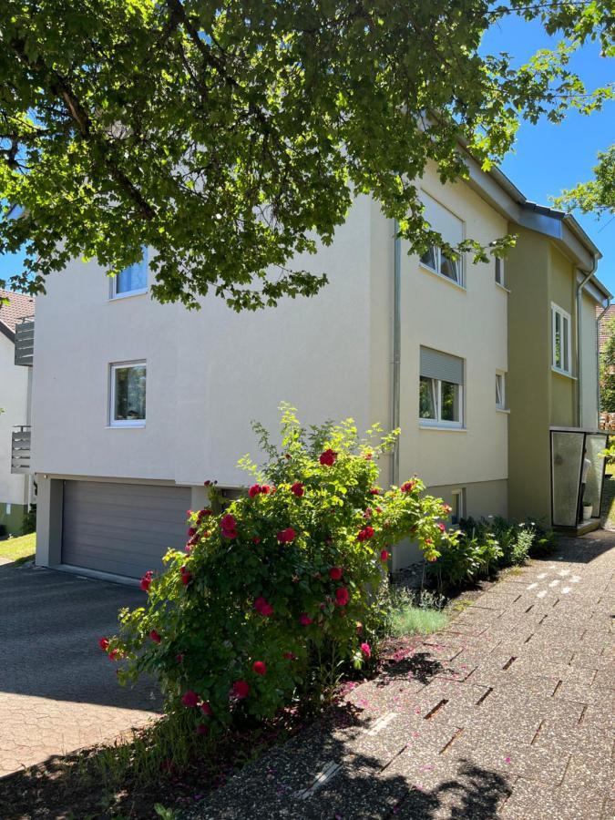 Schwarzwald Appartement Steffanie 弗罗伊登施塔特 外观 照片